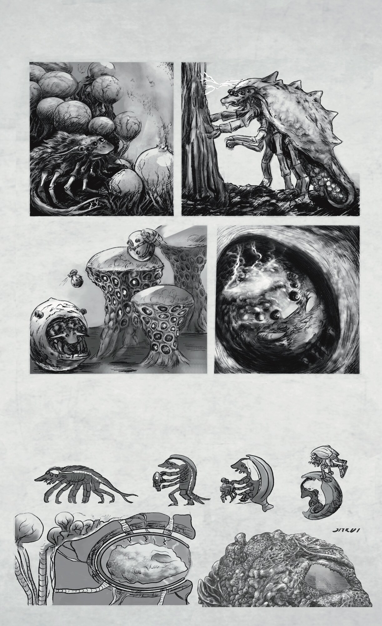 kumara evolution